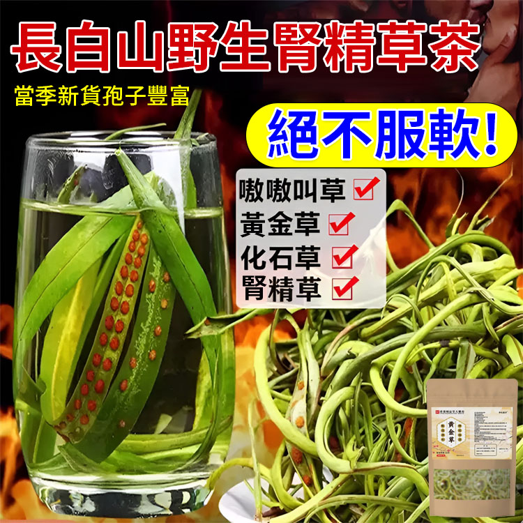 【真男人必備】天然野金草腎精茶
