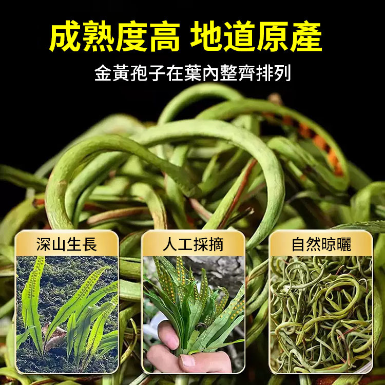 【真男人必備】天然野金草腎精茶