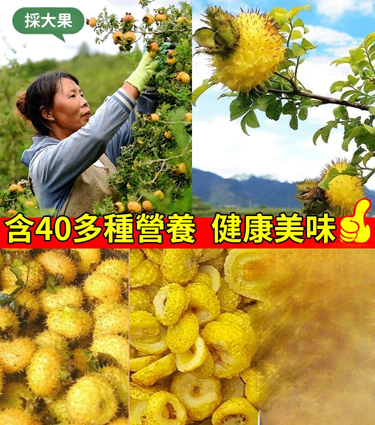 純手工刺梨乾