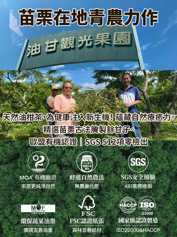 【台灣本地】黃​​金油柑茶