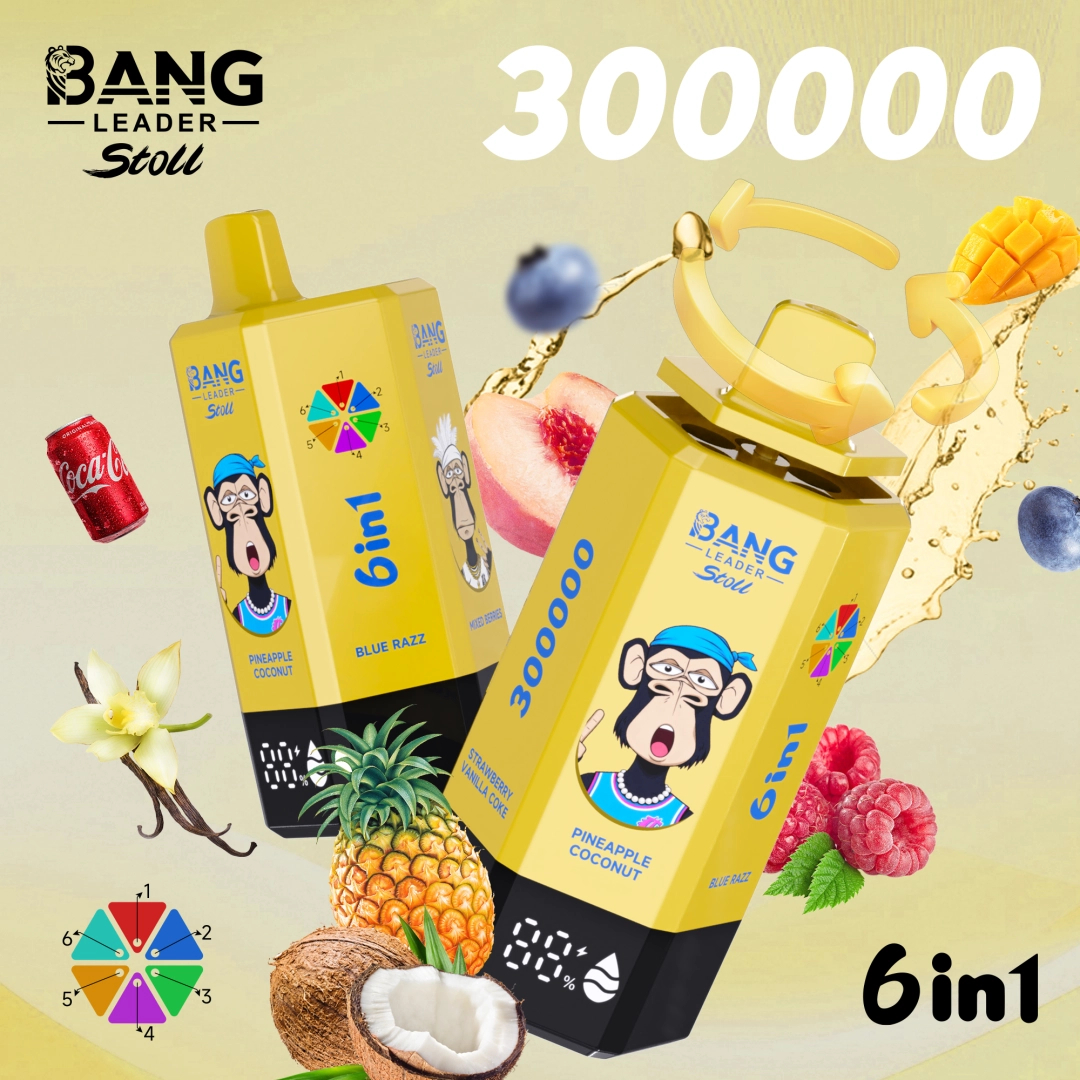BANG Leader Stoll 300K 6in1｜最大300,000パフ・6フレーバー