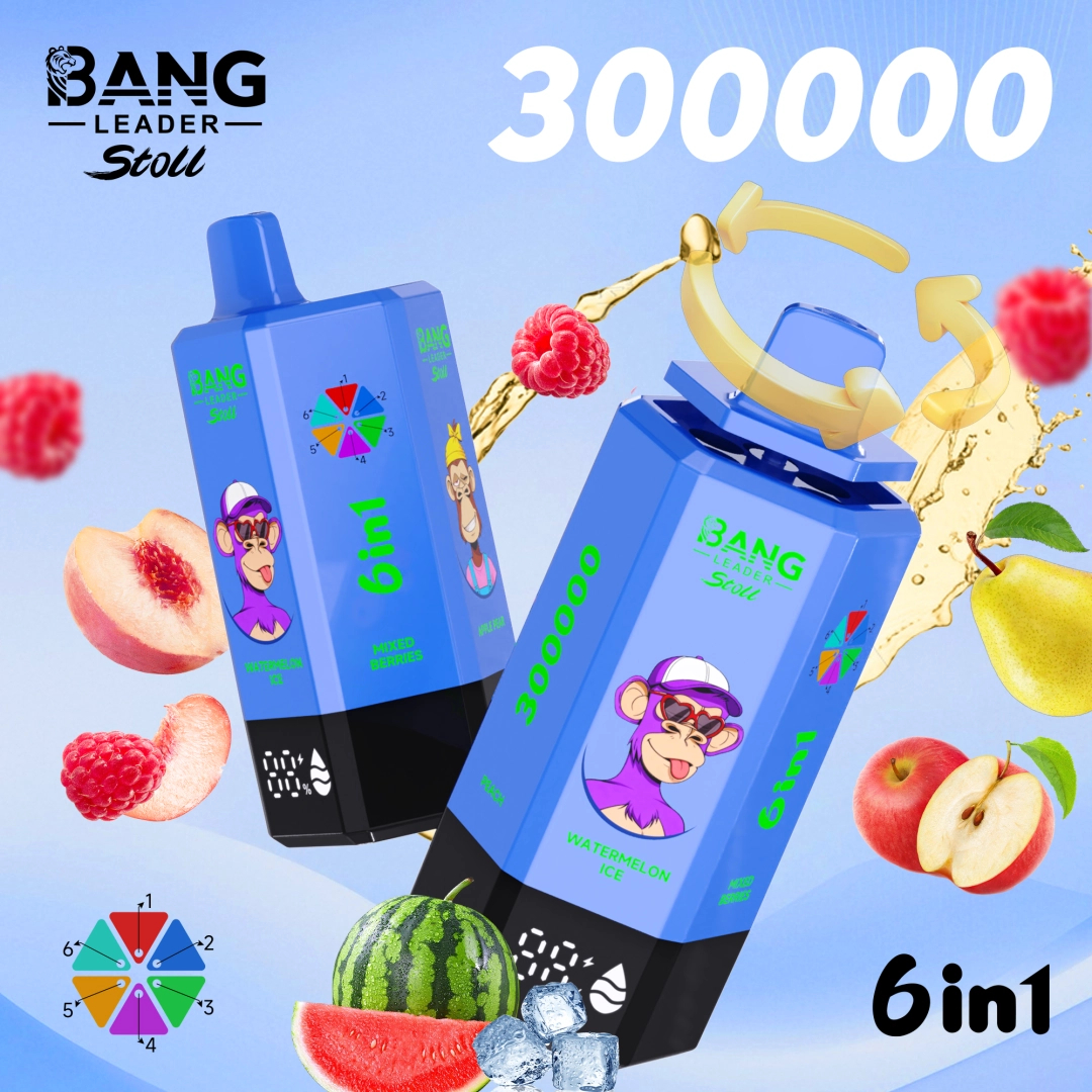 BANG Leader Stoll 300K 6in1｜最大300,000パフ・6フレーバー