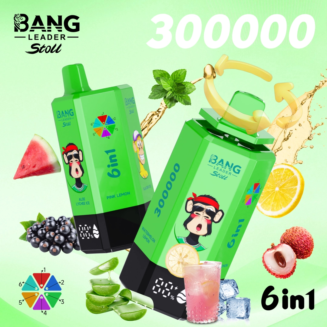 BANG Leader Stoll 300K 6in1｜最大300,000パフ・6フレーバー