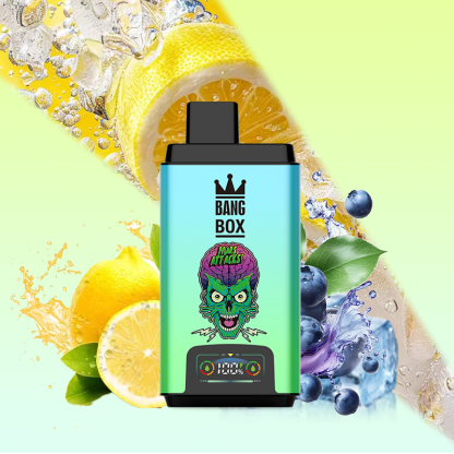 BANG BOX 50000 Puffs Double Flavor Disposable Vape-Blueberry Ice & Lemon Cola Soda