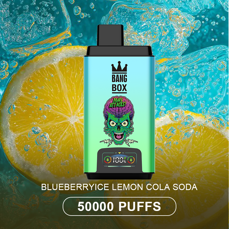 BANG BOX 50000 Puffs Double Flavor Disposable Vape-Blueberry Ice & Lem