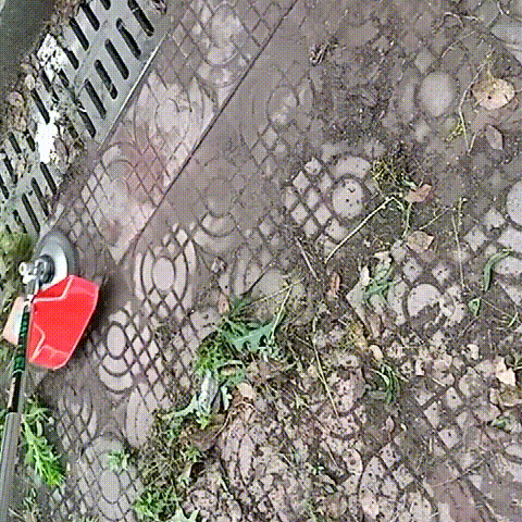1597030608933930.gif