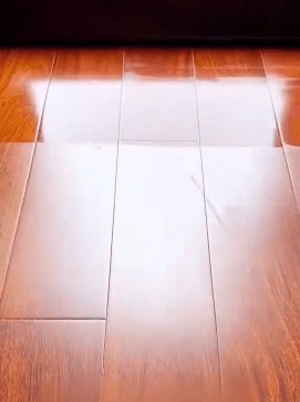 Honeycam 2025-07-31 18-55-04.gif