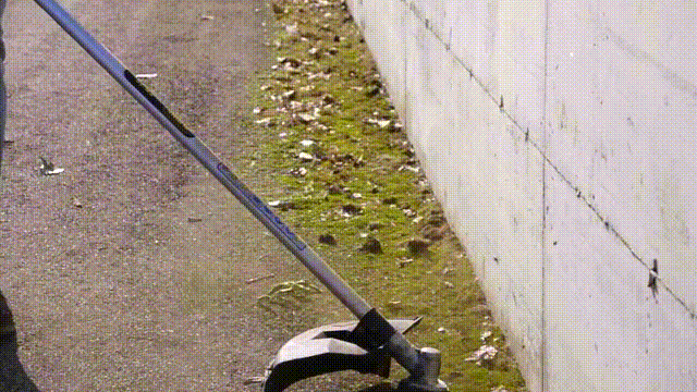 1597030617783883.gif