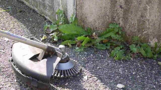 1597030604584930.gif