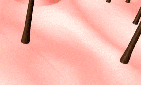 4b44db93309fe9a00765a4906e69945b.gif