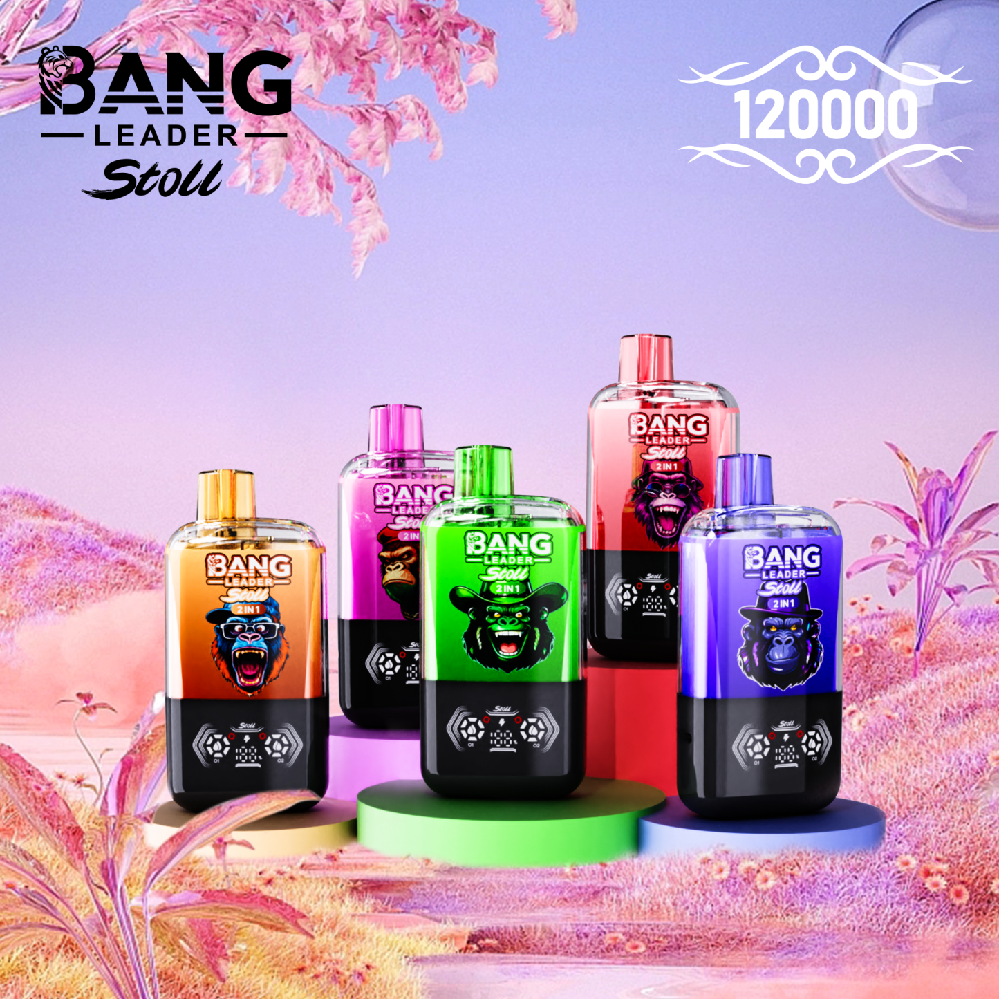 BANG LEADER STOLL 12万