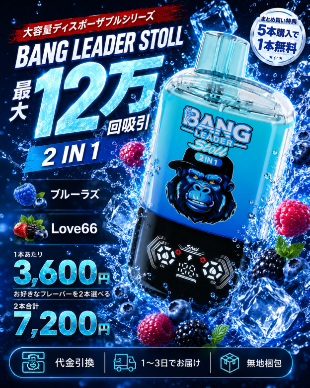 BANG LEADER STOLL 12万