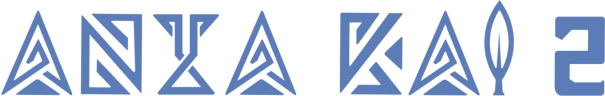 ANTA shoes