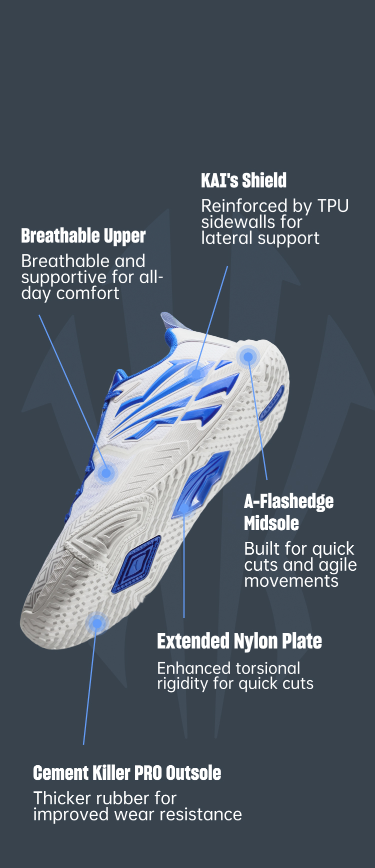 ANTA shoes