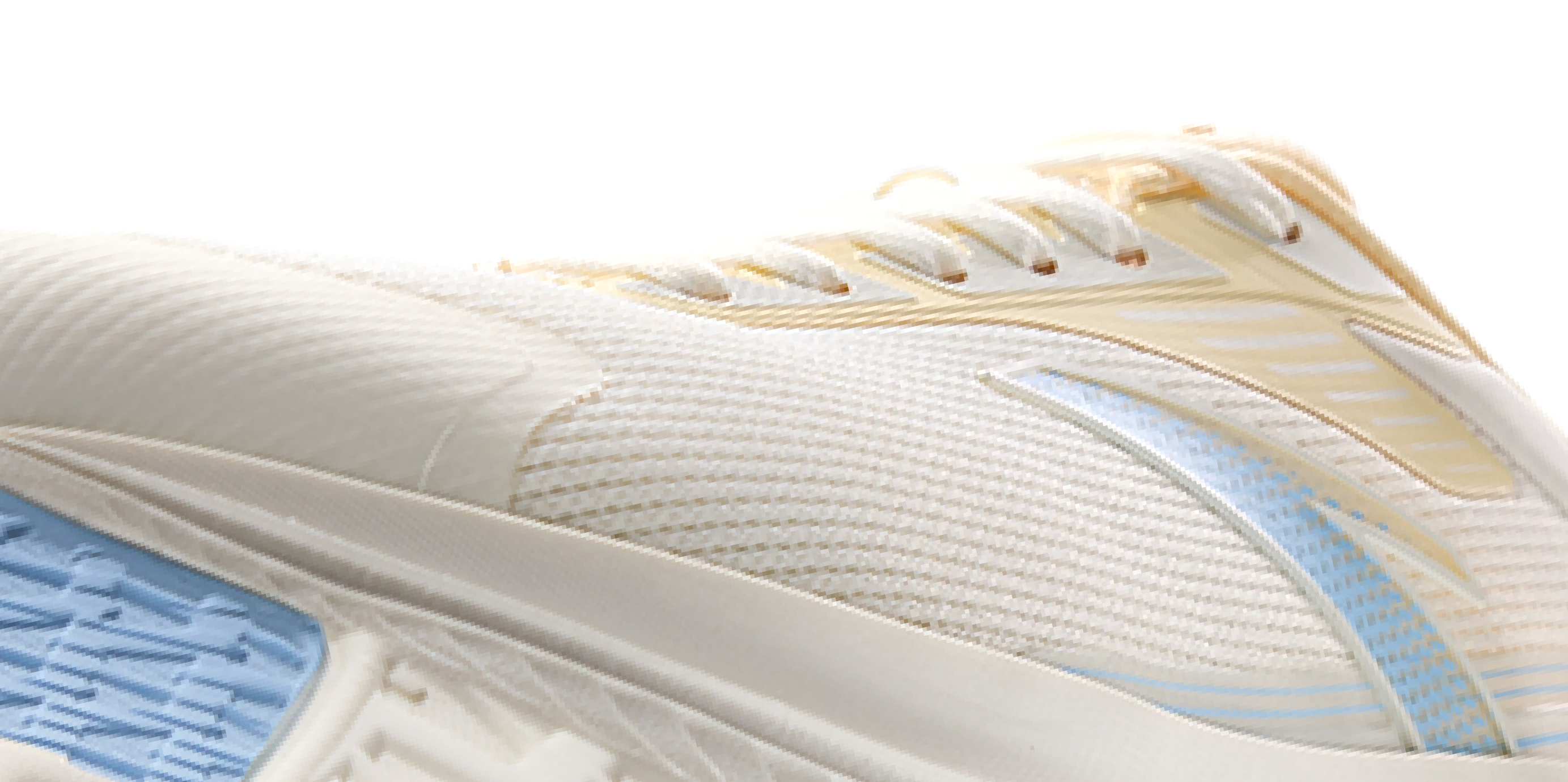 ANTA shoes