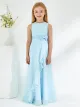 Ballerina Neckline Organza Dress