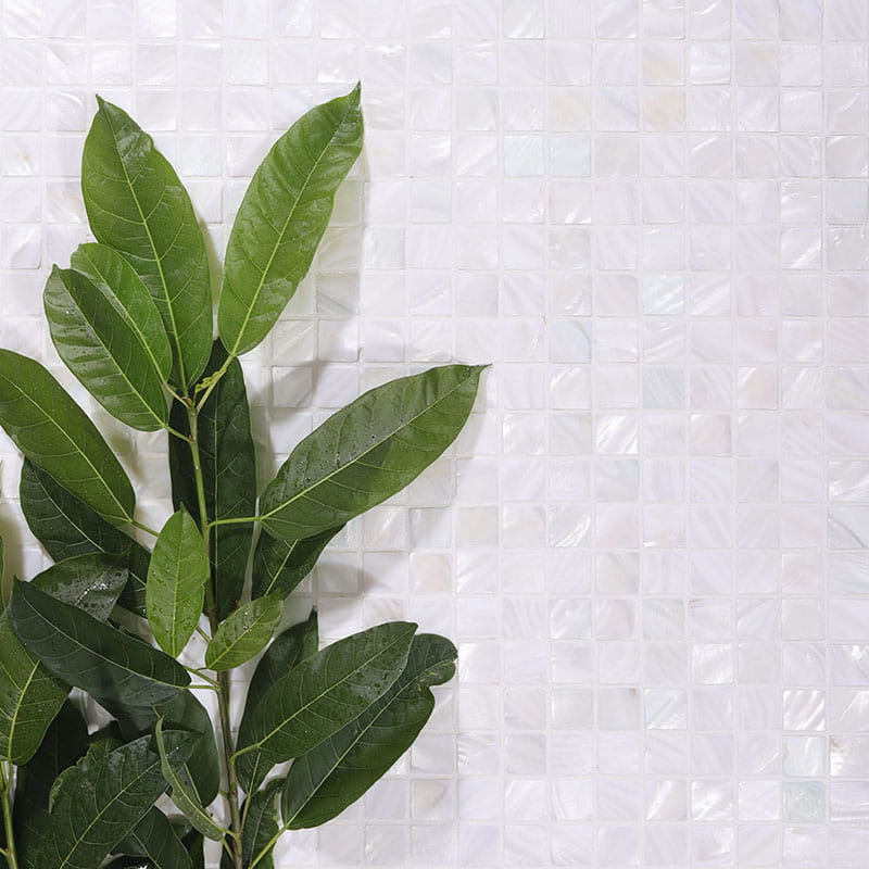 白いタイルと観葉植物の全体シーン