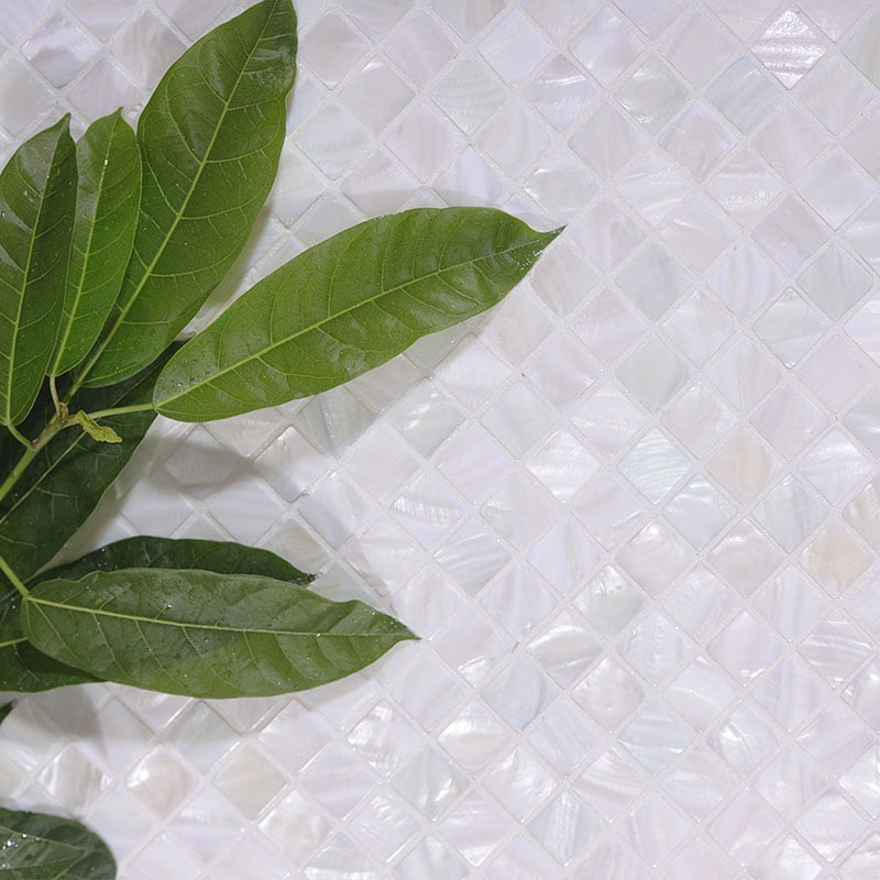 葉と白貝タイルの調和イメージ