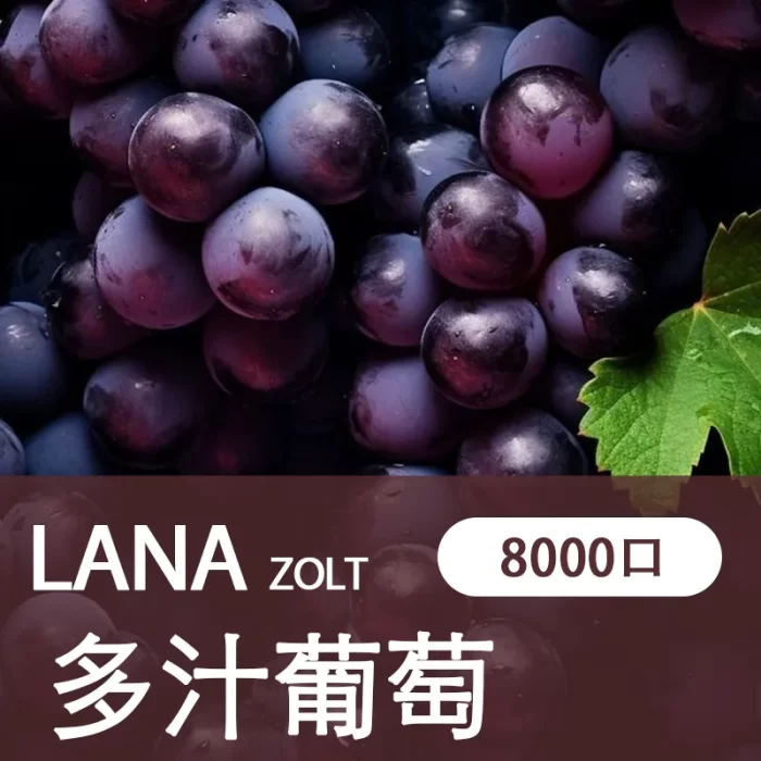 LANA拋棄式8000puff-ZOLT一次性電子煙-可充電超級大容量