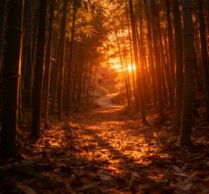 Cold-Resistant and Drought-Tolerant Green Bamboo Seeds for Air Purification