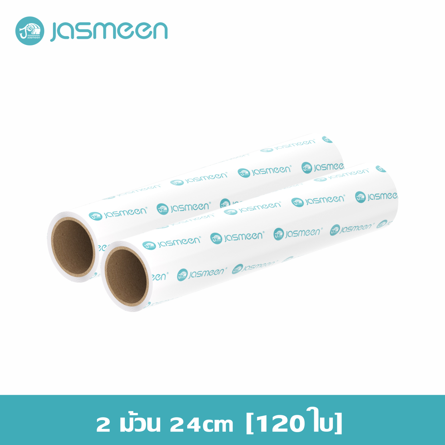 Jasmeen Retractable Hair Remover Roller – Extendable Lint & Pet Hair Cleaner for Home