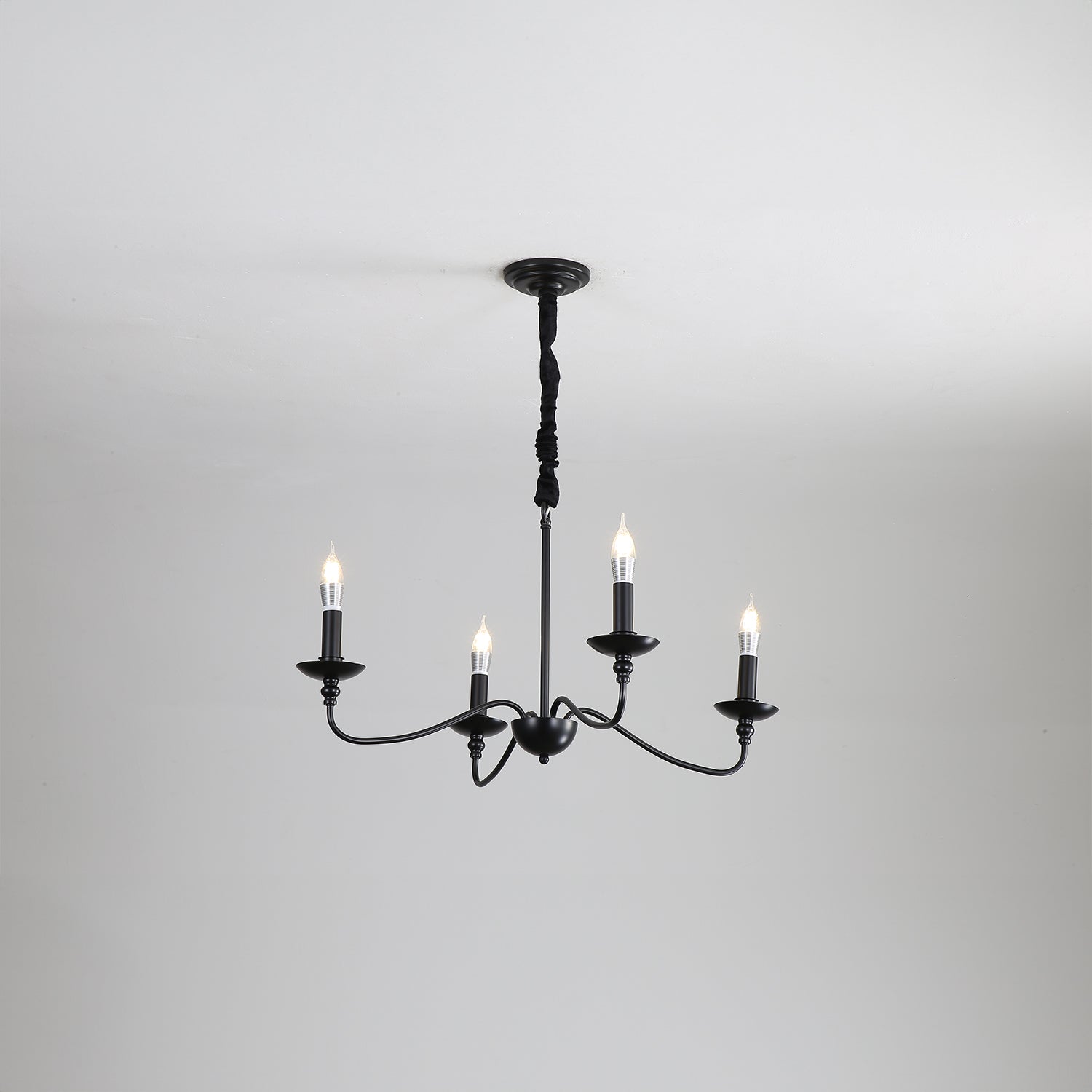 Burnam Traditional Chandelier