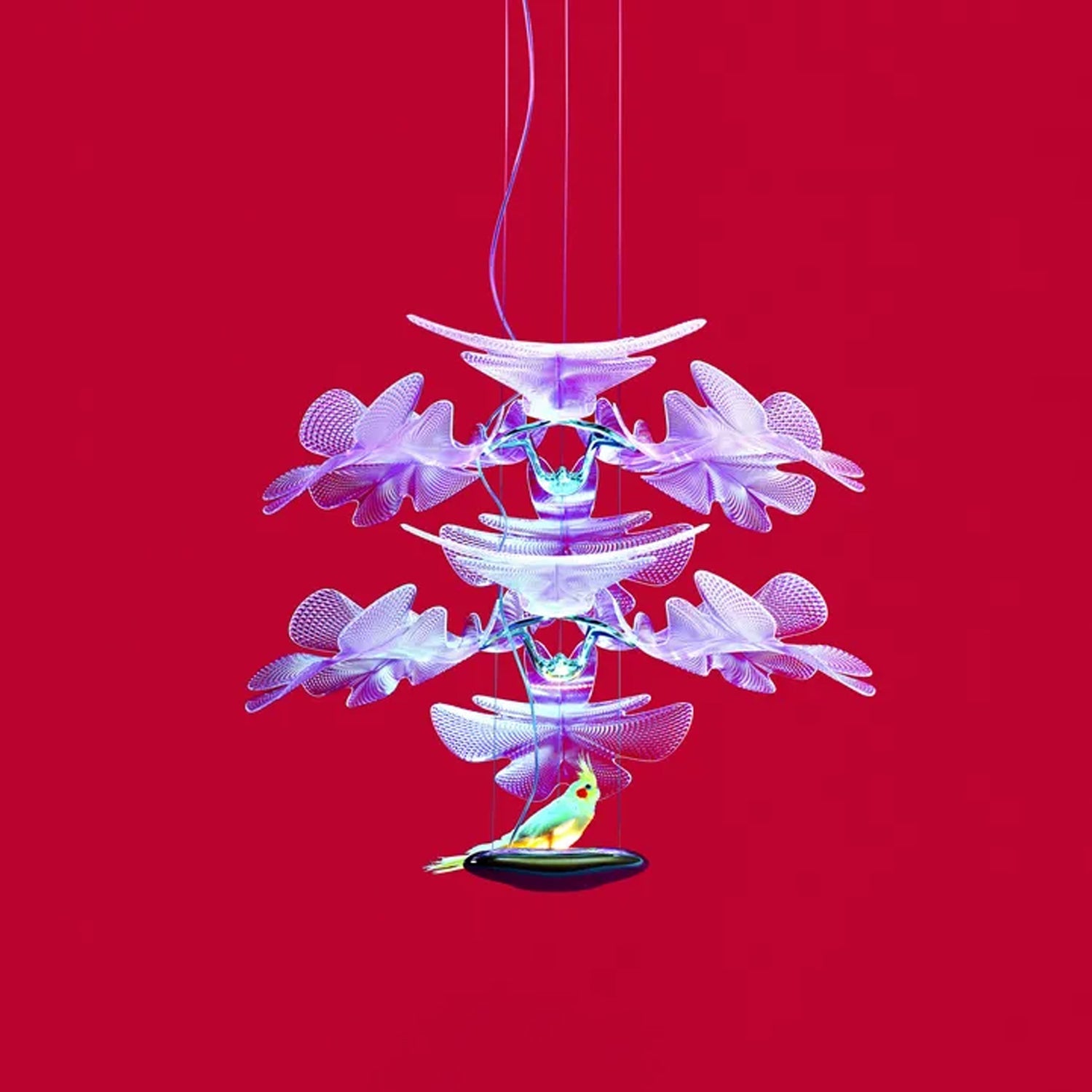 CHLOROPHILIA Pendant Light