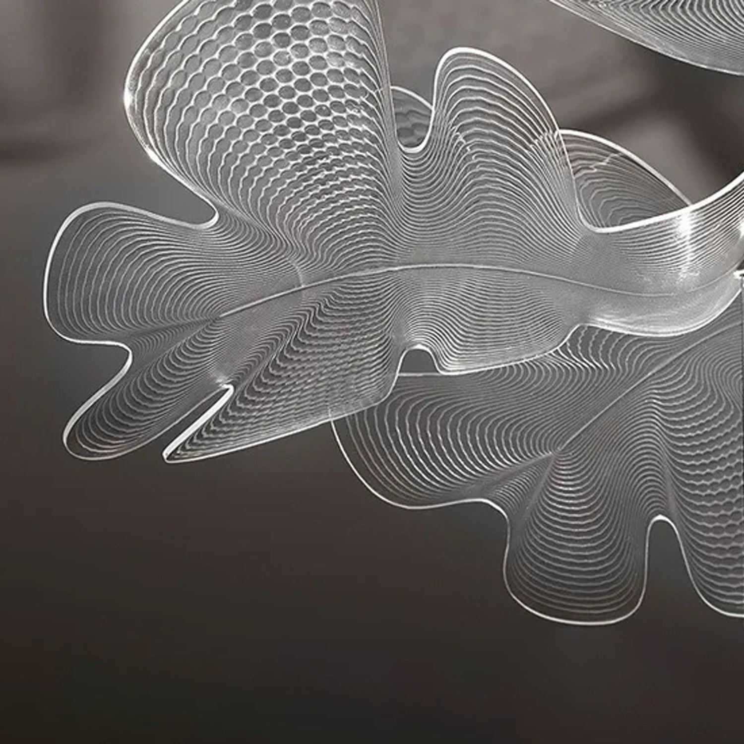 CHLOROPHILIA Pendant Light