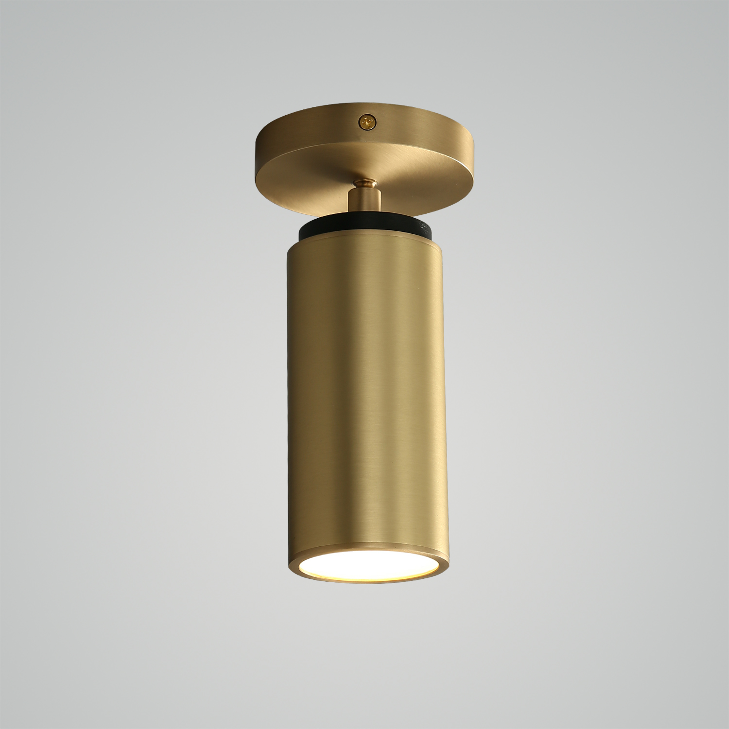 Champeaux Pivoting Flushmount