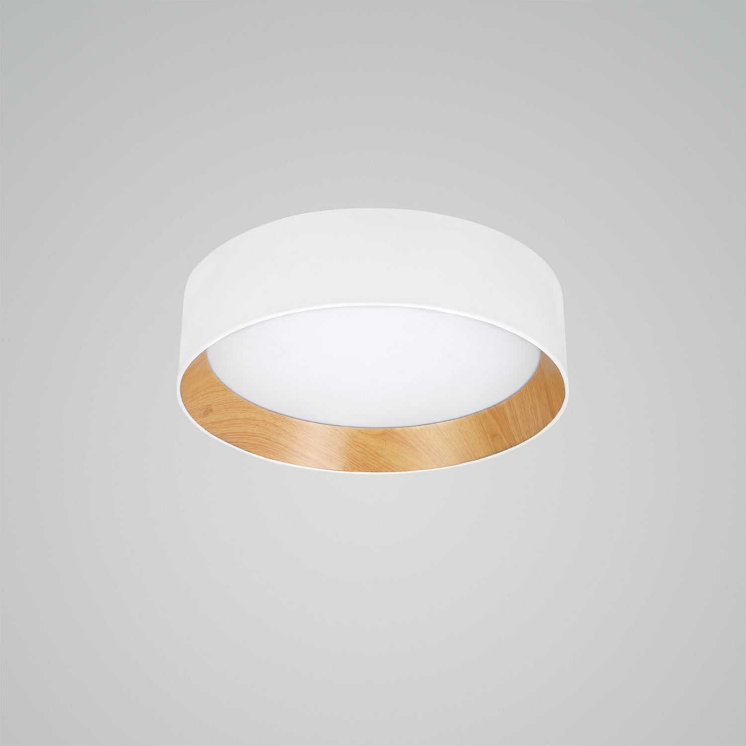Duo Ceiling Lamp