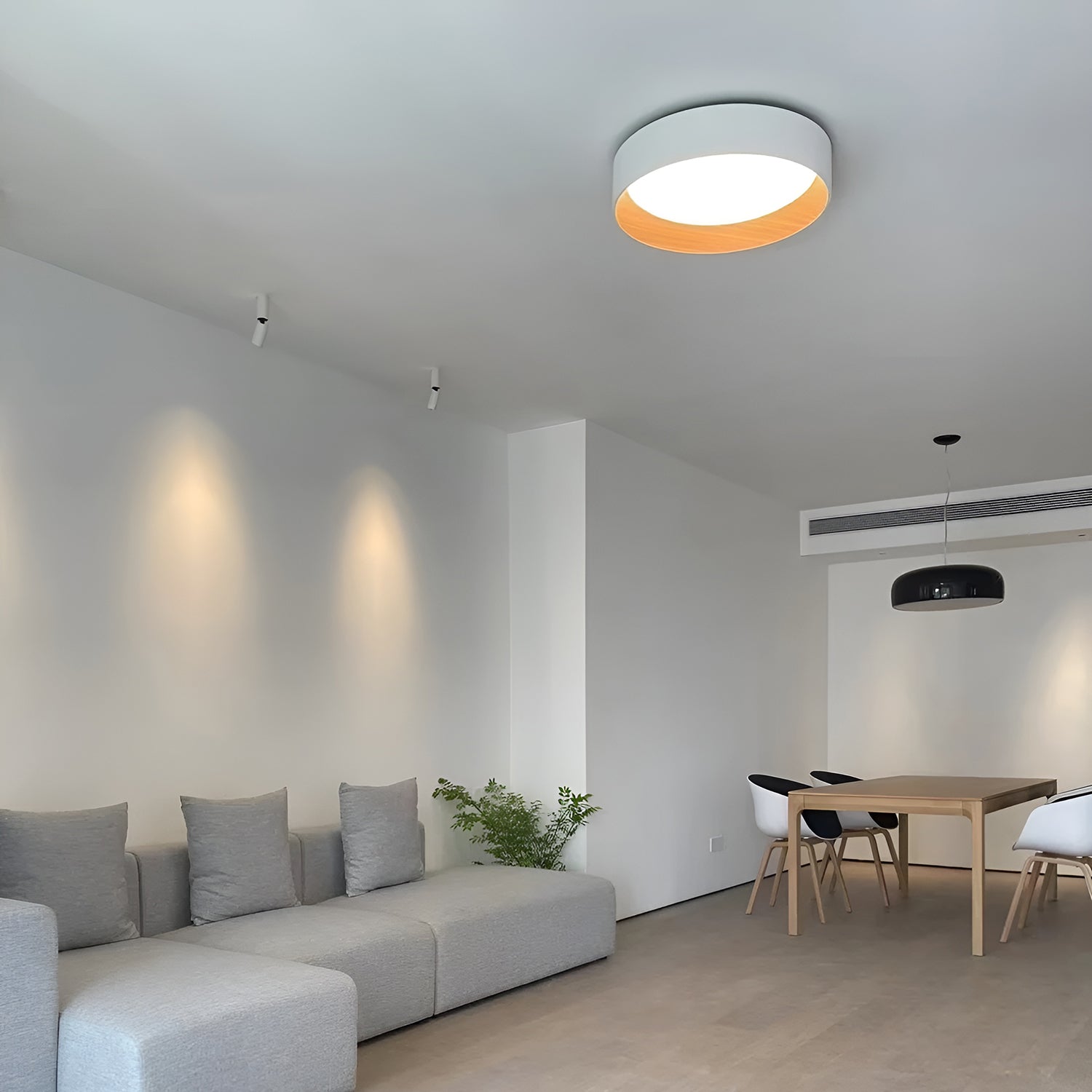 Duo Ceiling Lamp