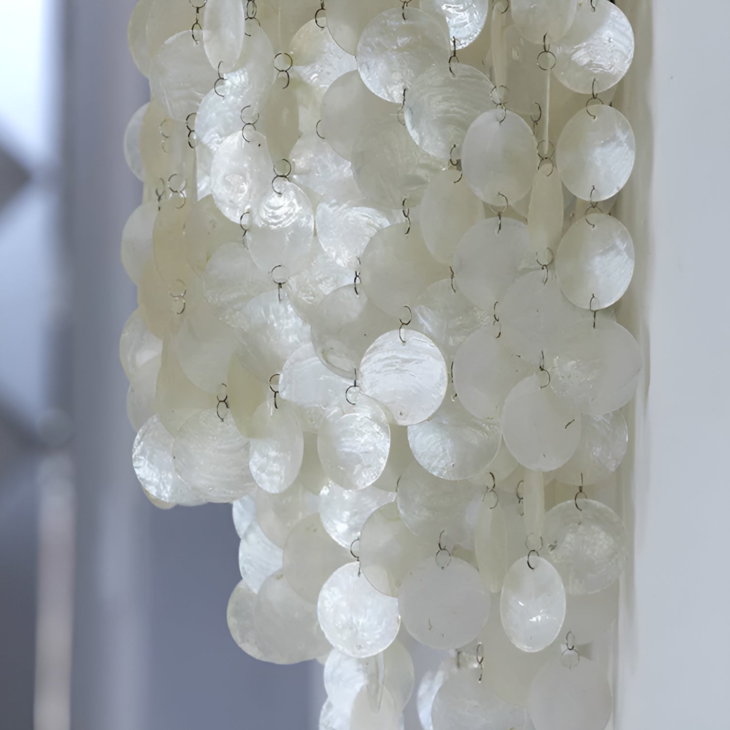 SHELL FUN 1WM Wall Light