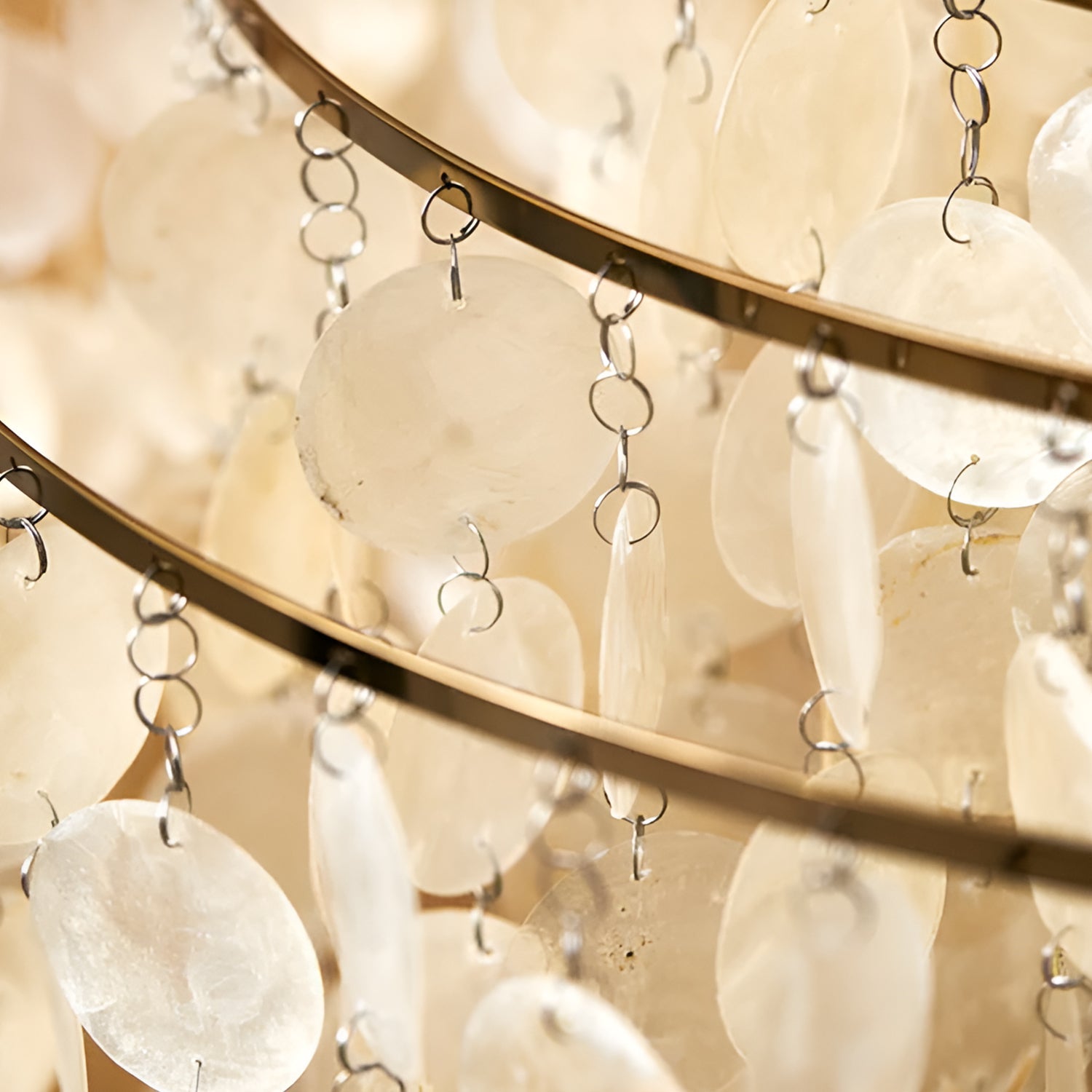 SHELL FUN 1WM Wall Light