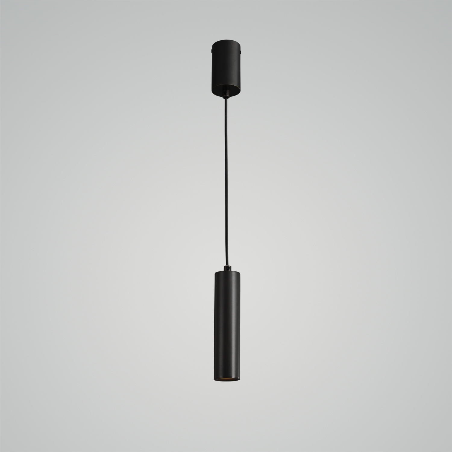 Find Me 1 Suspension Pendant Light