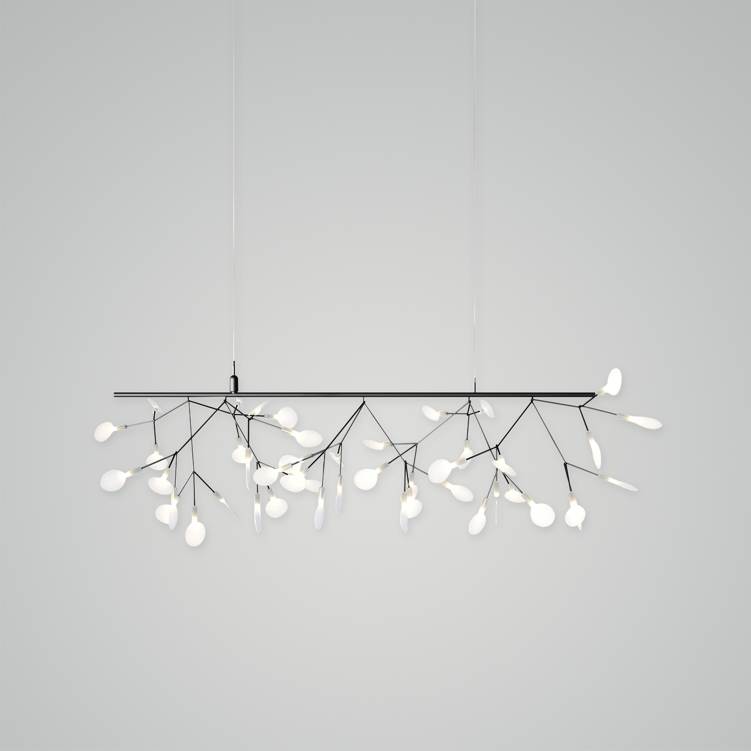 Heracleum III Endless Chandelier