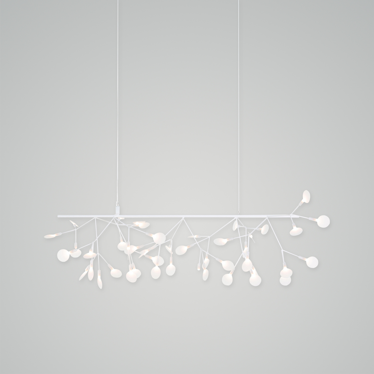Heracleum III Endless Chandelier