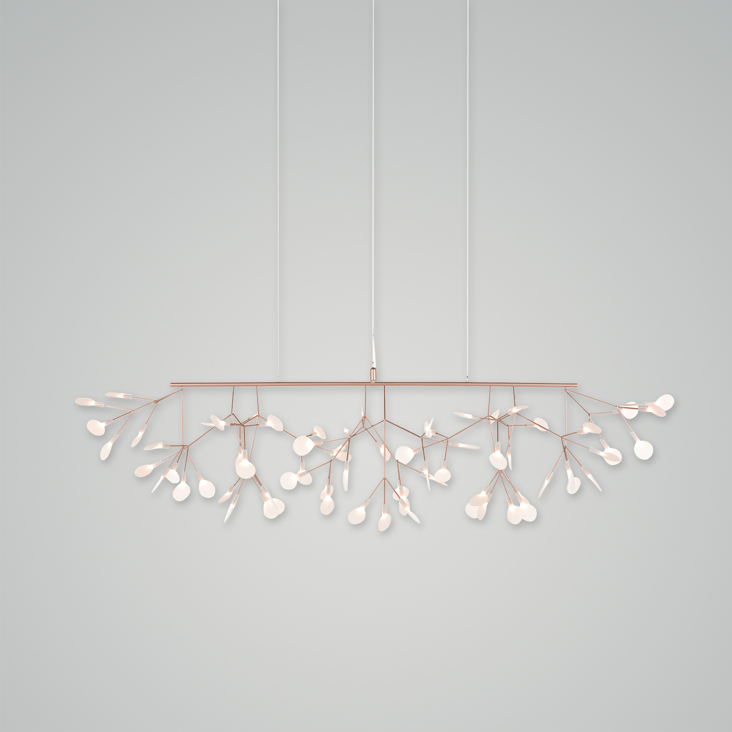 Heracleum III Endless Chandelier