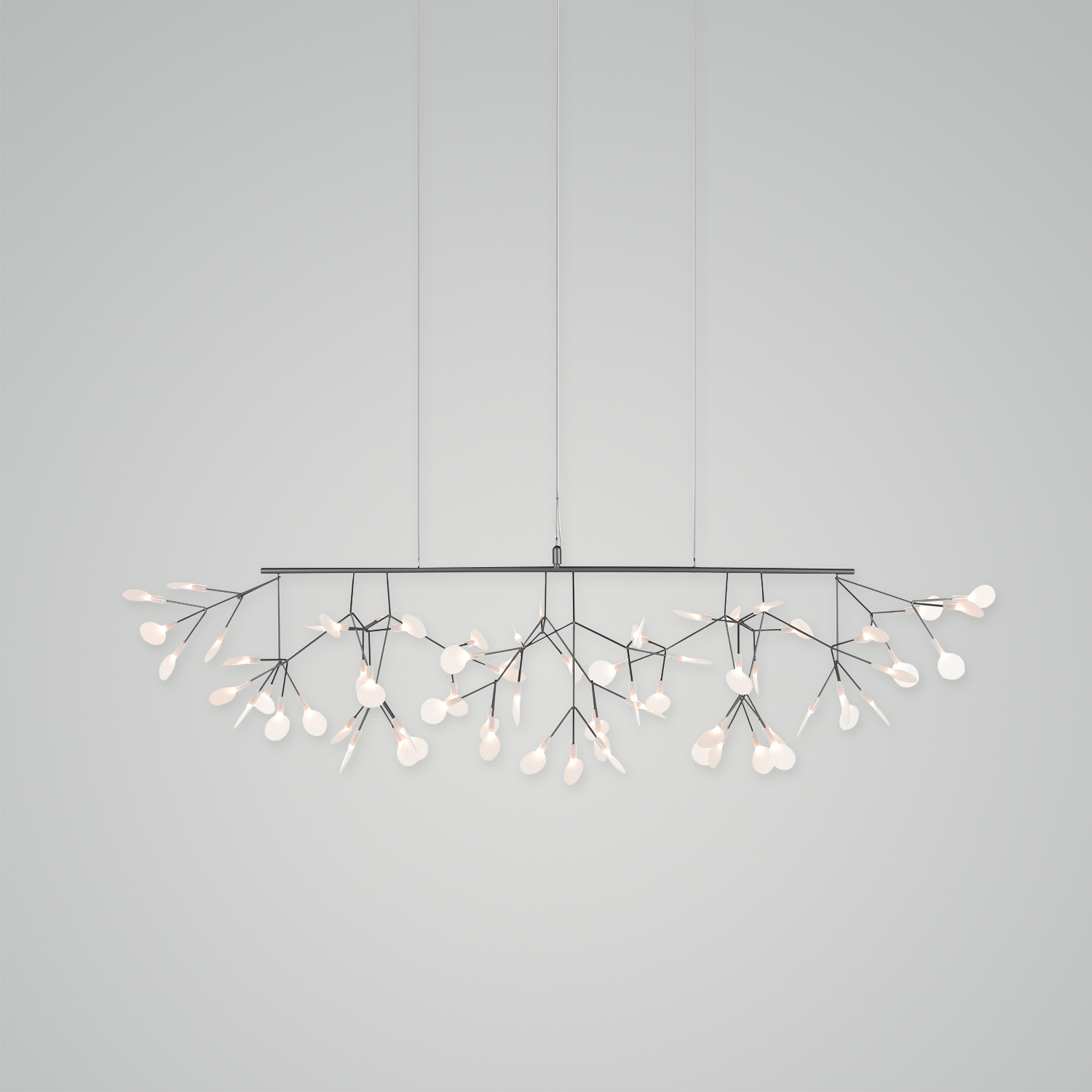 Heracleum III Endless Chandelier