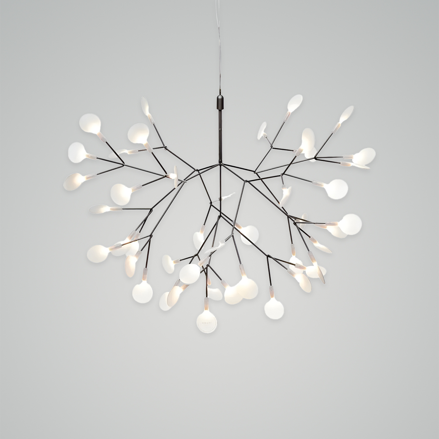 Heracleum III Suspended Chandelier