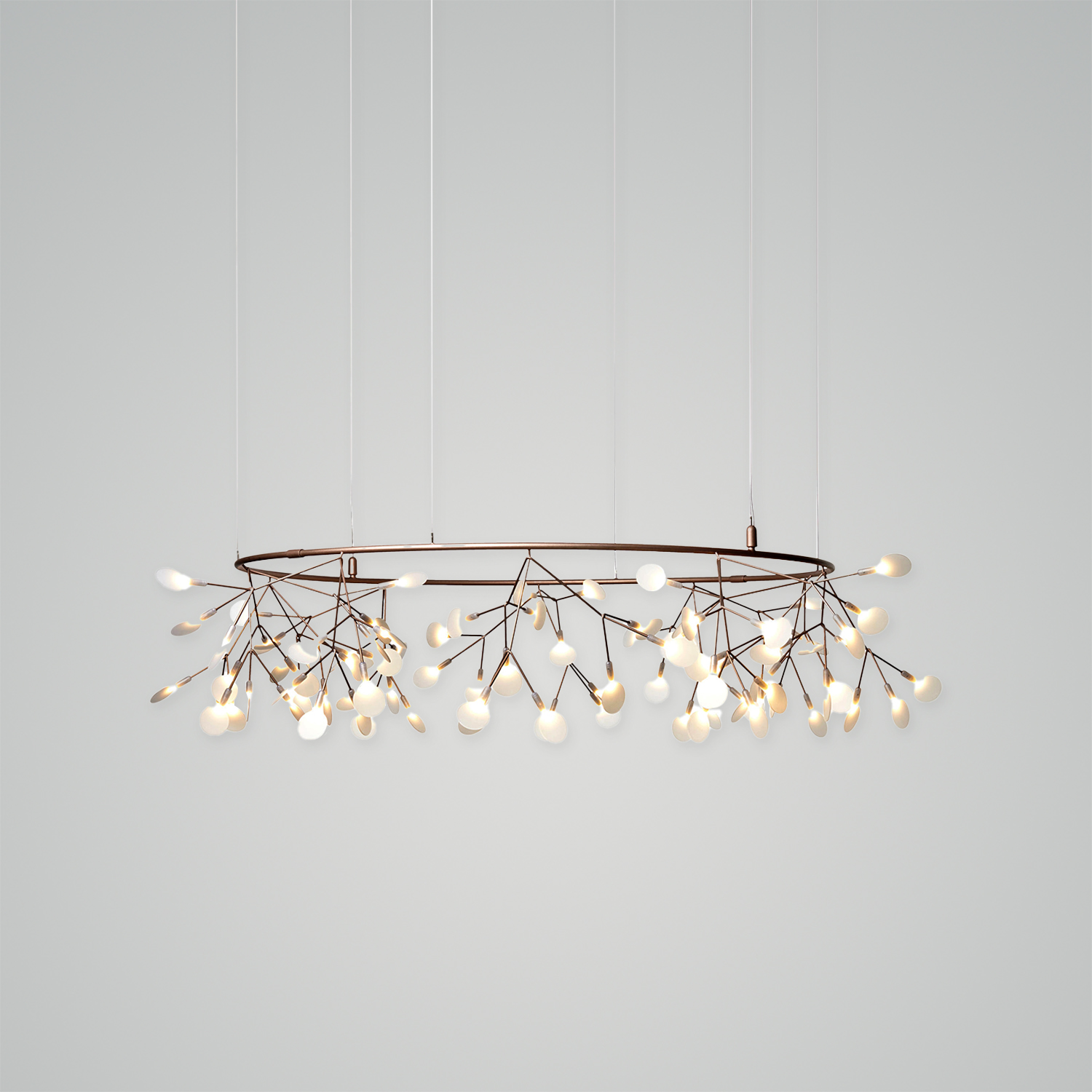 Heracleum III The Big O