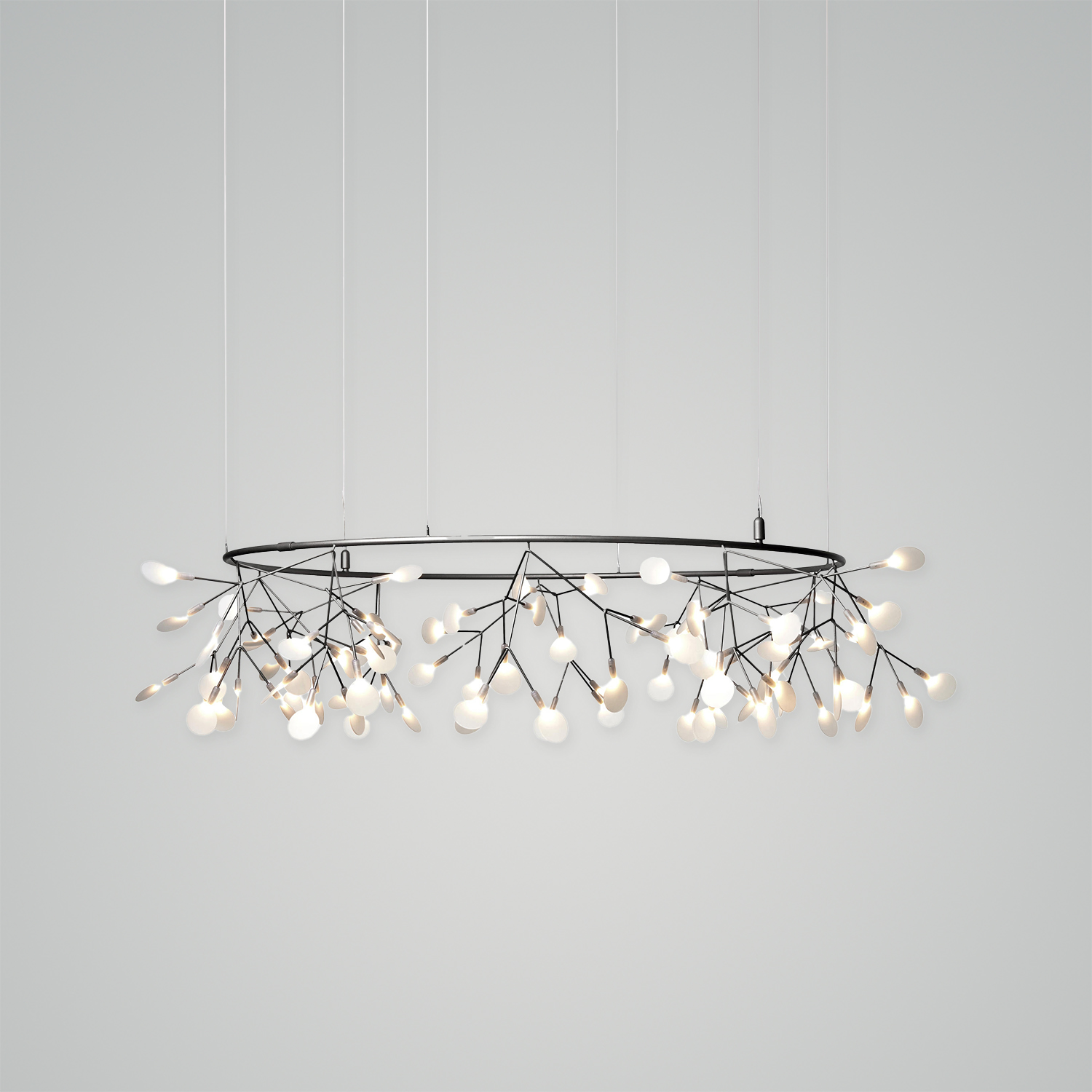 Heracleum III The Big O