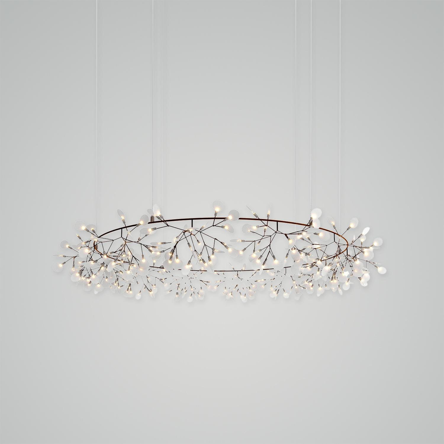 Heracleum III The Big O