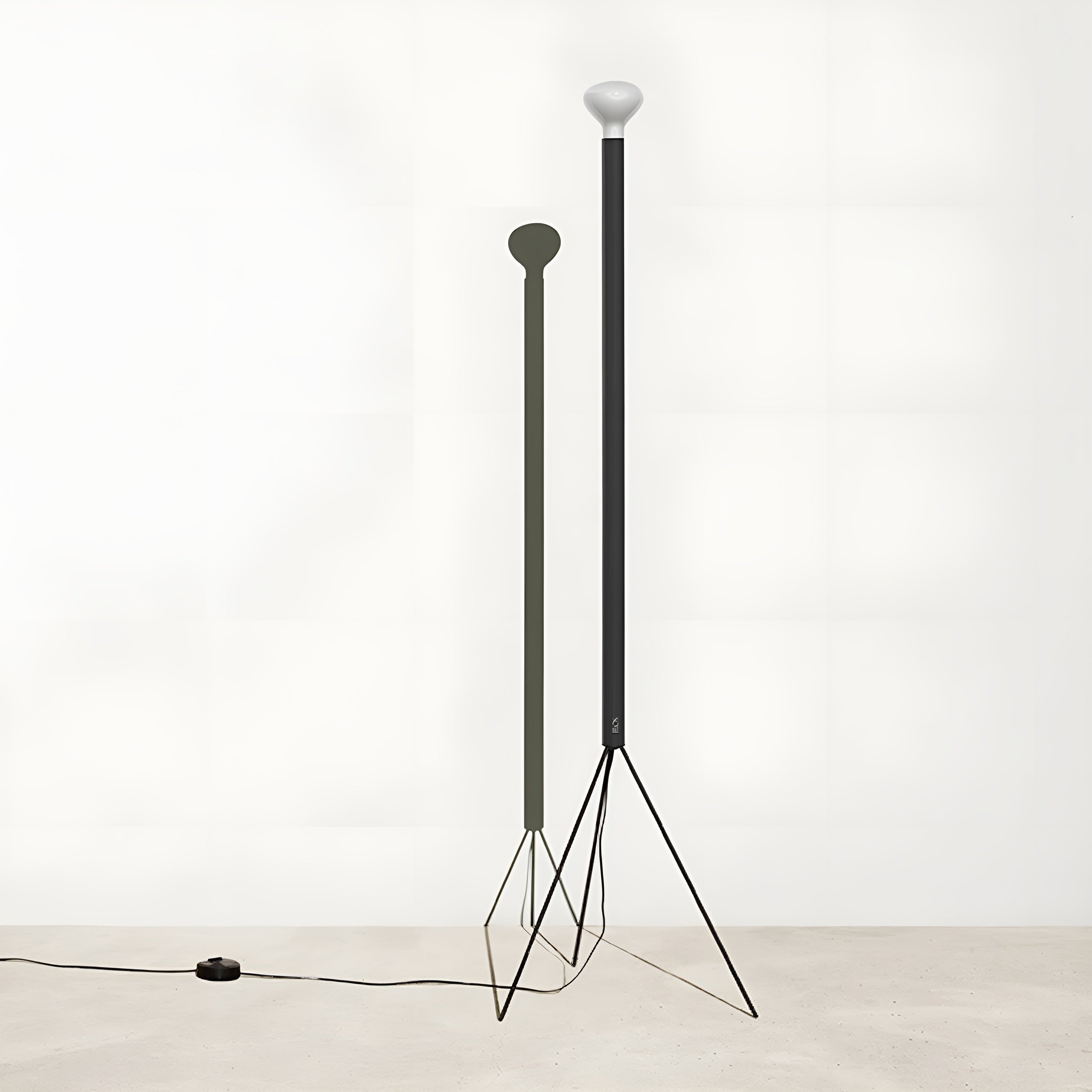 Luminator Floor Lamp