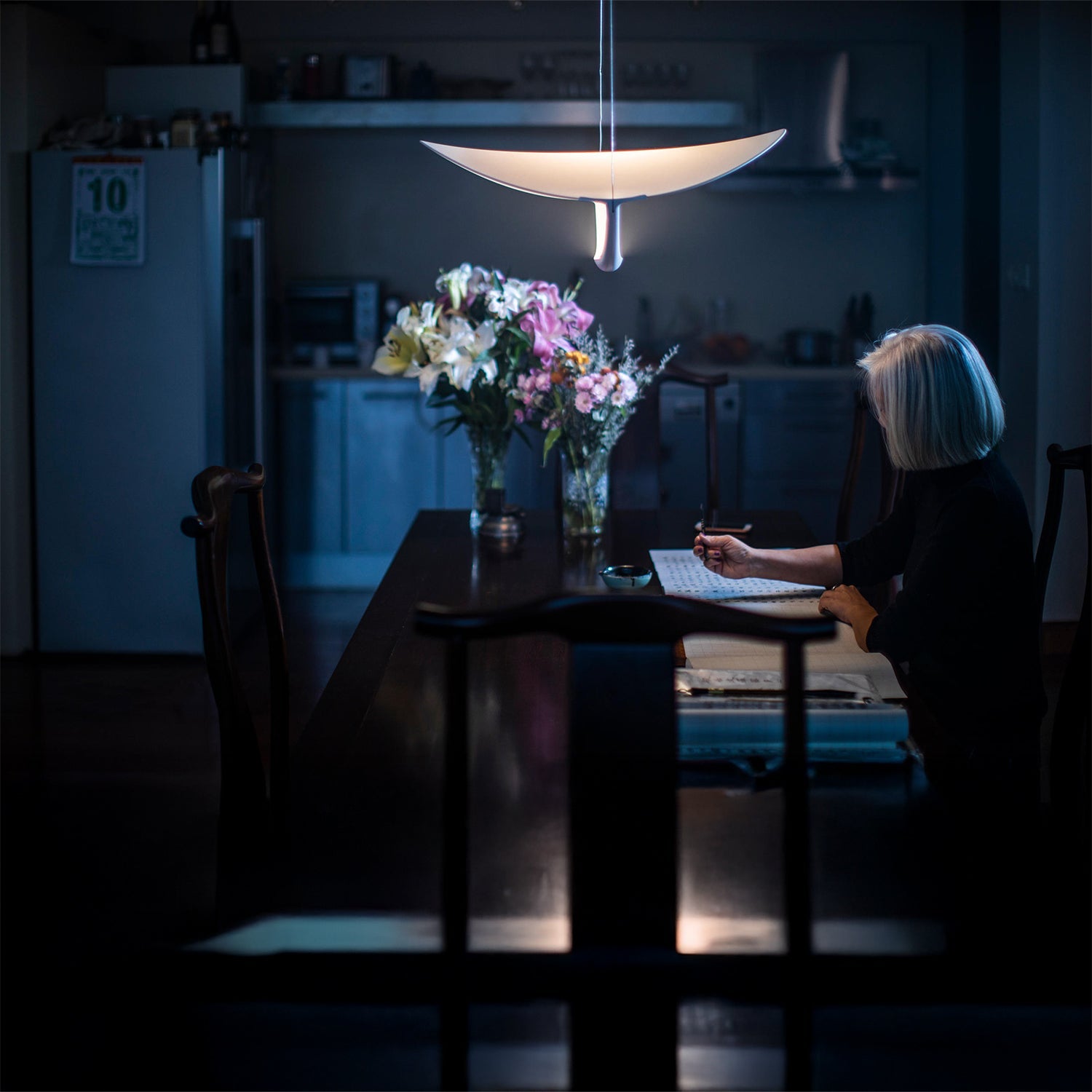 PLENA Pendant Light