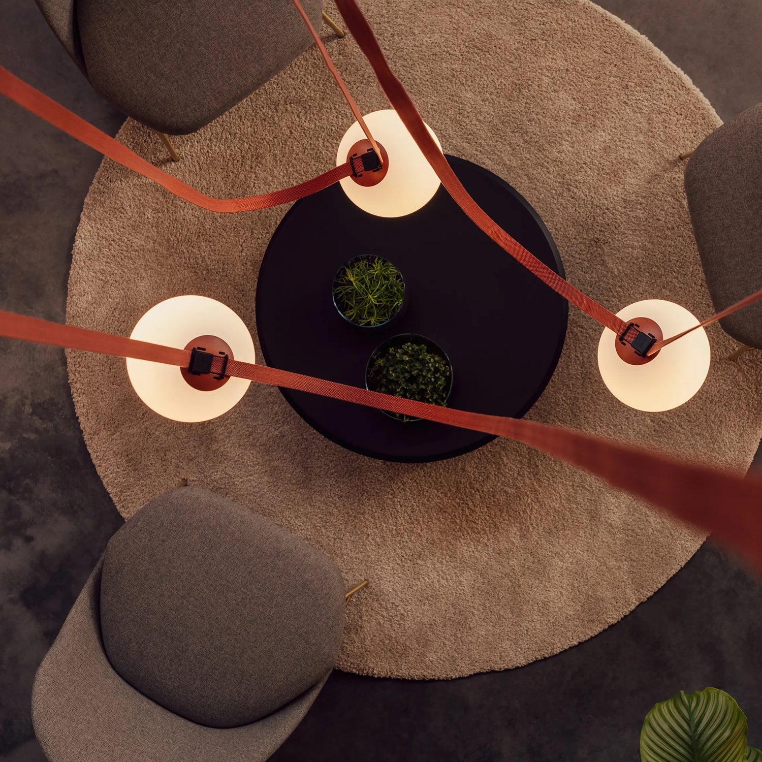 PLUSMINUS Pendant Light