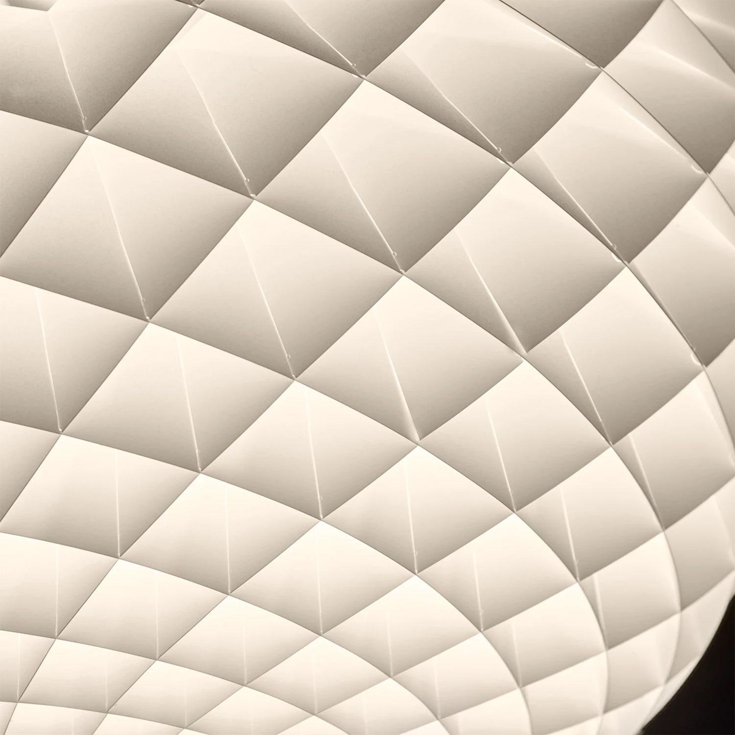 Patera Pendant Light