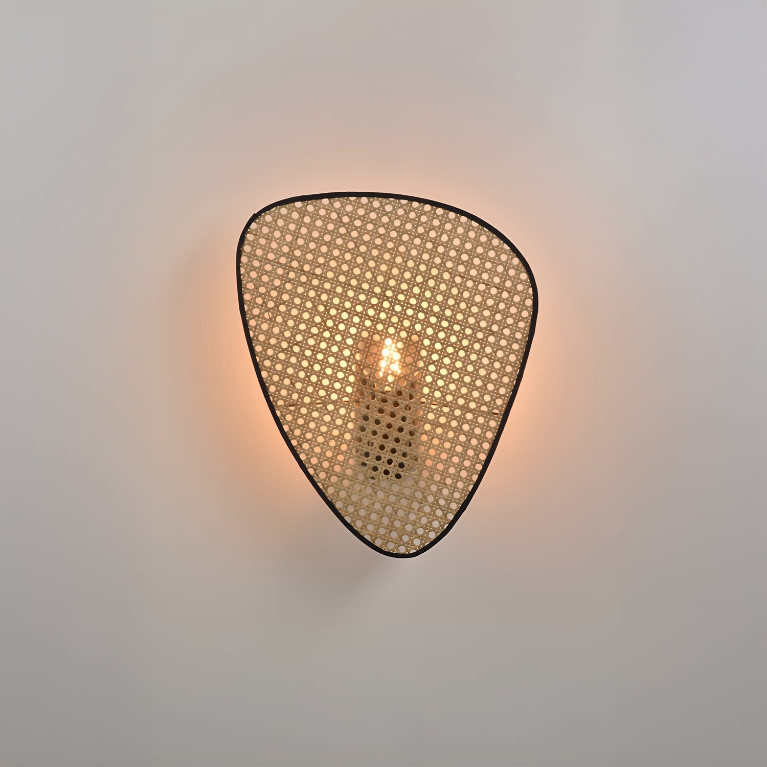 Screen Wall Light