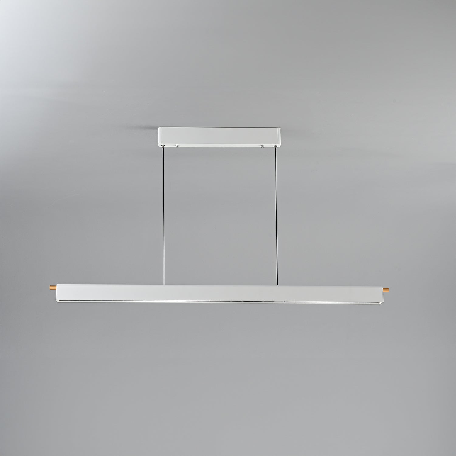 Tinuse_Lumina Horizon Pendant Light_0005