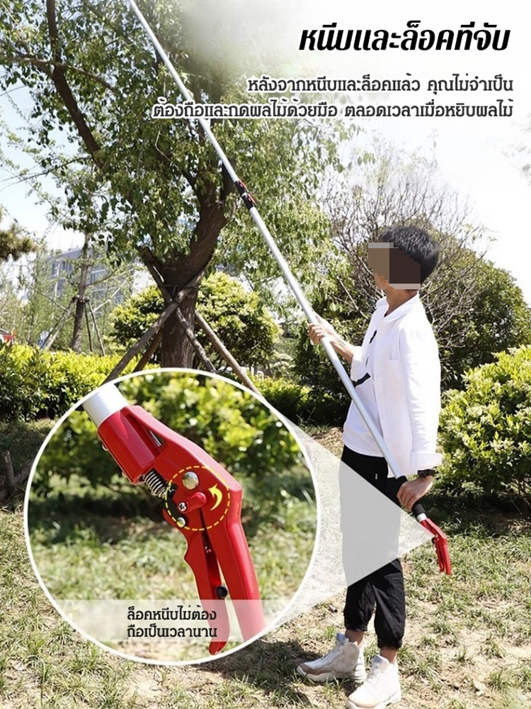✂️เครื่องมือเก็บผลไม้บนที่สูง | ระบบล็อคผลไม้อัตโนมัติด้วยกรรไกรและที่หนีบในตัว ป้องกันผลไม้เสียหาย🍎