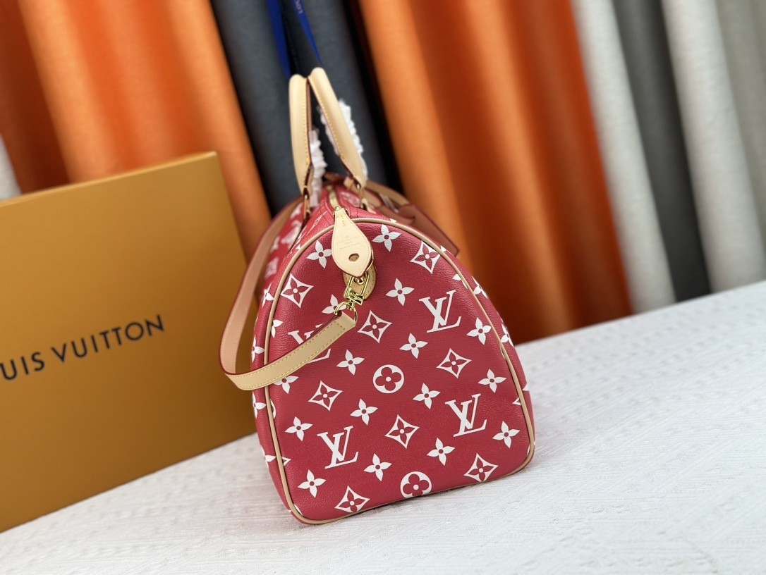 LOUIS VUITTON ルイヴィトン SPEEDY BANDOULIÈRE 40 M24422